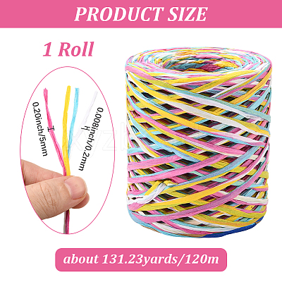 Segment Dyed Raffia Paper Cords for DIY Craft OCOR-WH20020-27C-1