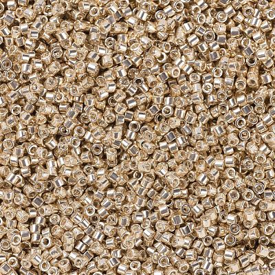 MIYUKI Delica Beads SEED-X0054-DB0433-1