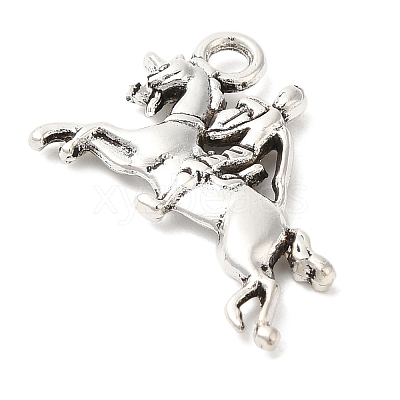 Tibetan Style Zinc Alloy Pendants TIBEP-R334-305AS-RS-1