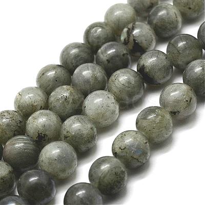 Natural Labradorite Bead Strands G-P256-01-4mm-1