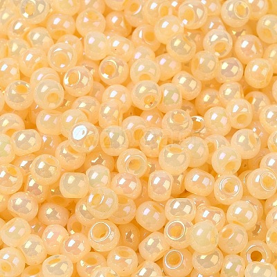 Glass Seed Beads SEED-H002-H-1307-1