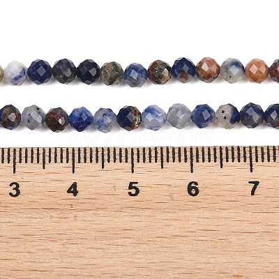 Natural Sodalite Beads Strands G-Z163-C02-4mm-1