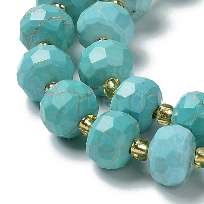 Natural Howlite Beads Strands G-E604-D01-B-1