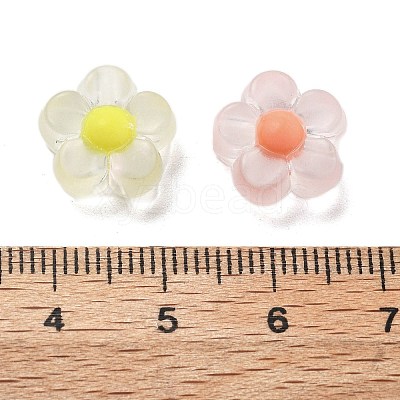 Frosted Transparent Acrylic Beads OACR-A032-12A-1