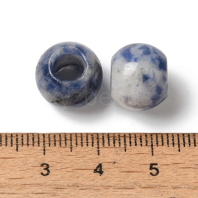 Natural Blue Spot Jasper European Beads G-N342-03D-1