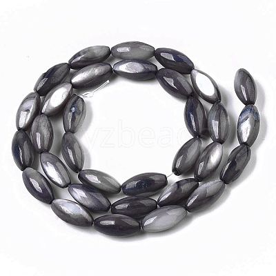 Natural Freshwater Shell Beads SHEL-R047-02-1