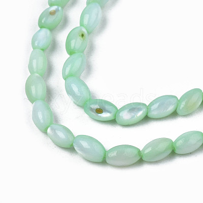 Natural Freshwater Shell Beads Strands SHEL-N003-25-B03-1