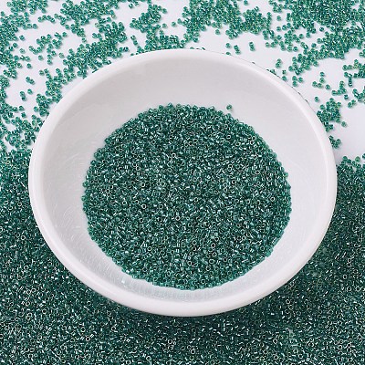 MIYUKI Delica Beads SEED-J020-DB0919-1