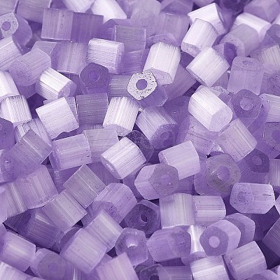 Glass Seed Beads SEED-H002-D-A815-1