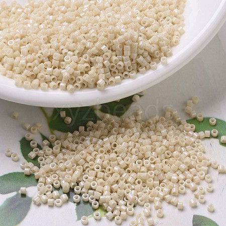MIYUKI Delica Beads SEED-X0054-DB0204-1