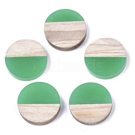 Resin & Wood Cabochons RESI-R425-05C-1