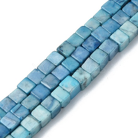 Natural Howlite Beads Strands G-C135-E03-01-1