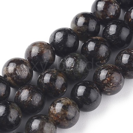 Natural Biotite Beads Strands G-L528-06C-1