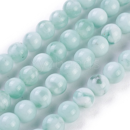 Natural Glass Beads Strands G-I247-15C-1