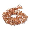 Natural Quartz Crystal Points Beads Strands G-K181-B26-7