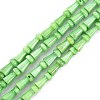 Natural Freshwater Shell Beads Strands SHEL-G013-02E-1