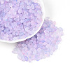 Frosted Glass Seed Beads SEED-N008-05G-1