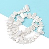 Electroplated Shell Pearl Beads Strands BSHE-C007-B01-01-3