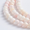 Natural Pink Shell Beads Strands SSHEL-L016-18C-2