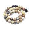 Natura Ocean Jasper Beads Strands G-D0001-07-10mm-2