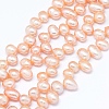 Natural Cultured Freshwater Pearl Beads Strands PEAR-G004-03D-01-1