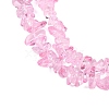 Transparent Glass Beads Strands GLAA-Z009-01K-3