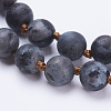 Natural Larvikite Beaded Necklaces NJEW-P202-36-B19-2