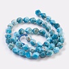 Natural Apatite Beads Strands G-F568-025-8mm-2