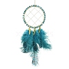 Natural Apatite Woven Net/Web with Feather Wall Hanging Decoration HJEW-JM01222-02-1