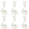 6Pcs 2 Styles Natural White Shell Beads BSHE-CJ0001-05-3