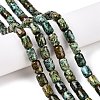 Natural African Turquoise(Jasper) Beads Strands G-G980-33A-2