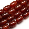 Natural Carnelian Column Beads Strands G-P063-67-1