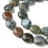 Natural Indian Agate Beads Strands G-K365-B19-03-4