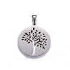 Non-Tarnish 304 Stainless Steel Pendants STAS-K162-105P-1