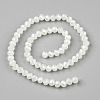 Electroplate Glass Beads Strands LS-EGLA-A034-J10mm-A01-2