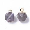 Natural Grey Agate Charms X-G-S359-015D-2