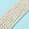 Natural Cultured Freshwater Pearl Beads Strands PEAR-E016-170-2