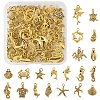 Tibetan Style Alloy Pendants FIND-FS0003-95AG-1