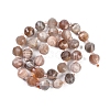 Natural Multi-Moonstone Beads Strands G-G182-B04-05-3