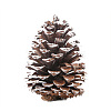 Wood Artificial Pine Cone HULI-PW0002-034C-1