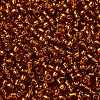 TOHO Round Seed Beads SEED-XTR08-2208-2