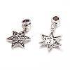 Alloy European Dangle Charms PALLOY-JF00001-17-2