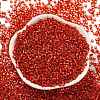 Glass Seed Beads SEED-S042-04A-10-2