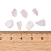 Natural Kunzite Chip Beads G-Q193-03A-3