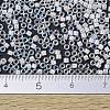 MIYUKI Delica Beads SEED-J020-DB0052-4