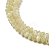 Natural Trochus Shell Rondelle Beads Strands SSHEL-H072-01A-3