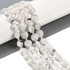 Natural Rainbow Moonstone Beads Strands G-B094-A06-01-1