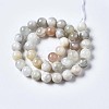 Natural White Moonstone Beads Strands G-N328-51C-01-2