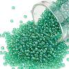 TOHO Round Seed Beads SEED-XTR11-0164B-1