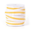 Polyester Ribbon SRIB-F008-A10-19mm-1